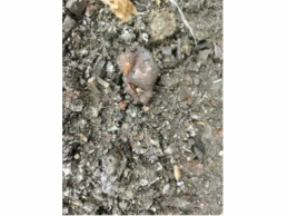 一批混合残渣（烧融的电芯、建筑物铁片、托盘、库架导轨等）约100吨