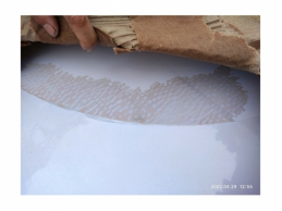 一批水湿受损的纸卷12吨