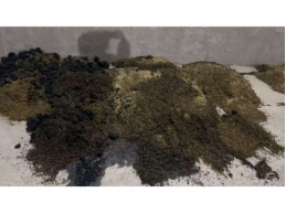 一批烘干机起火导致烧毁受损的稻米约20吨