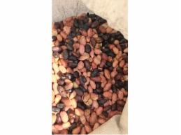 一批火灾受损的花生米33吨