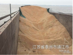 一批雨淋受损的小麦778.53吨