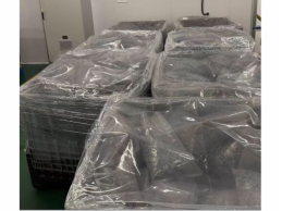 一批停电受损的硅料约11吨
