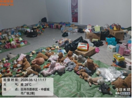 一批暴雨受损的玩具11817个