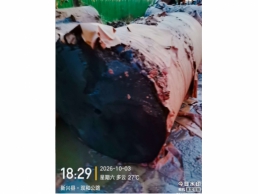 一批火灾受损的纸35吨